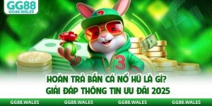 Hoàn Trả Bắn Cá Nổ Hũ Là Gì? Giải Đáp Thông Tin Ưu Đãi 2025